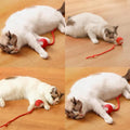 Şarjlı hareketli ipli top kedi oyuncağı ile oynayan kedi