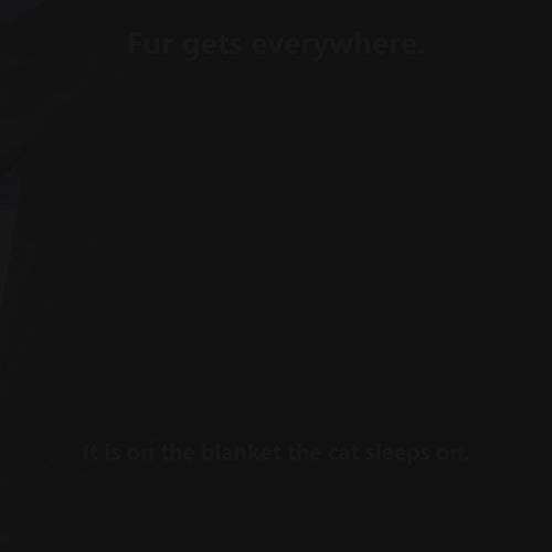 ShedLoop Fur-Free Home Kit in use on blankets, clothes and furniture